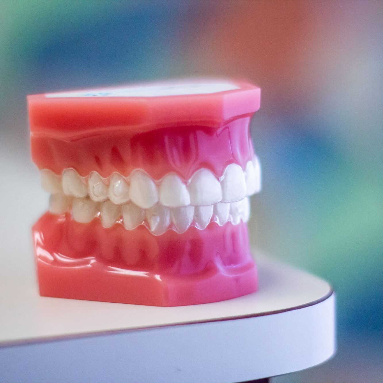 orthodontist parma